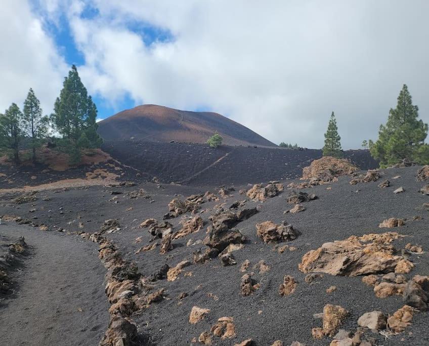 El Molledo Hikers Haven Courtyard Apartment Tamaimo Tenerife מראה חיצוני תמונה